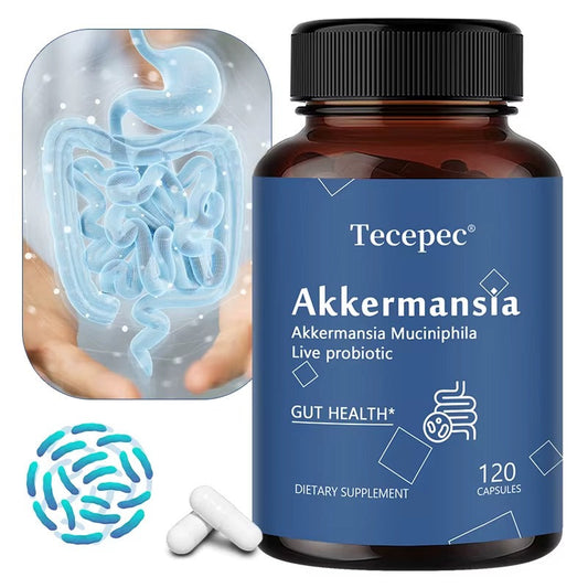 Akkermansia Probiotic Supplement – Gut Health, 120 Capsules