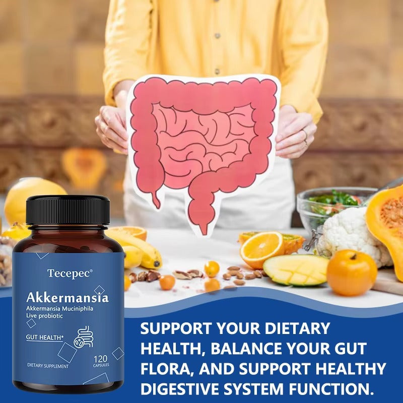 Akkermansia Probiotic Supplement – Gut Health, 120 Capsules