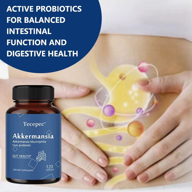 Akkermansia Probiotic Supplement – Gut Health, 120 Capsules