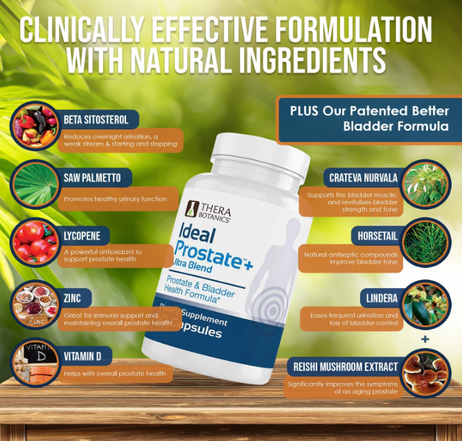 Thera Botanics Ideal Prostate+ Ultra Blend – Prostate & Bladder Support, 60 Caps